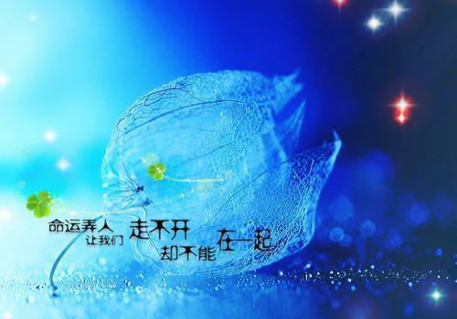 主角岑筱傅尘舟小说 岑筱傅尘舟小说全文免费阅读