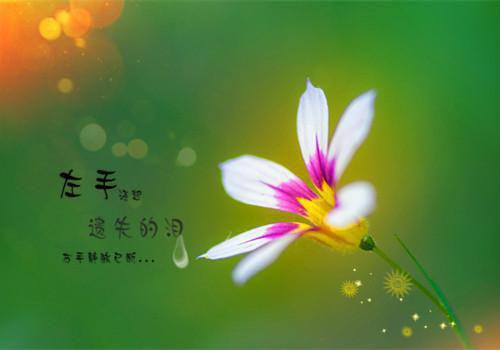 徐倩倩彭鑫是什么小说的主人公 徐倩倩彭鑫免费阅读