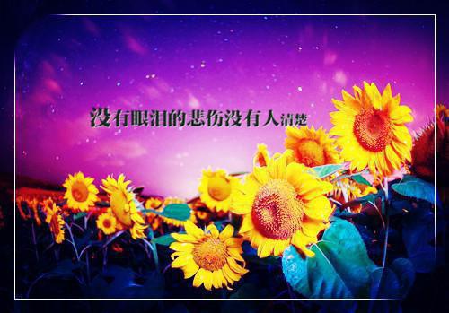 杨过郭芙的故事 重生神雕之这个杨过不一样章节阅读