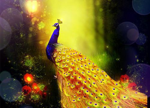 宋时予傅斯延在线阅读（宋时予傅斯延）全文无弹窗大结局_宋时予傅斯延全文在线阅读无弹窗