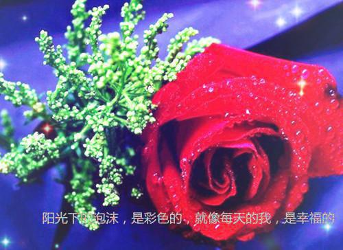 林娇娇卫佳绾林强是啥小说 林娇娇卫佳绾林强免费阅读无广告