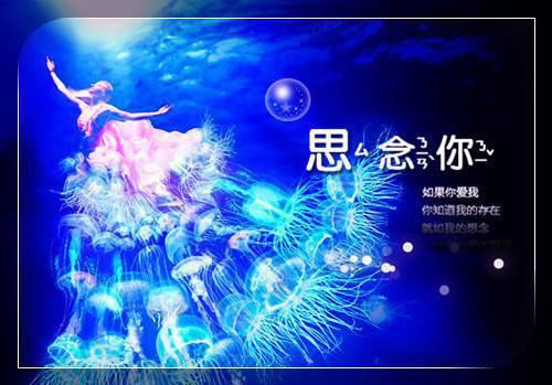 完结 七零炮灰，穿越摆烂成军嫂被爆宠最新小说（沈清欢沈金宝）全文阅读