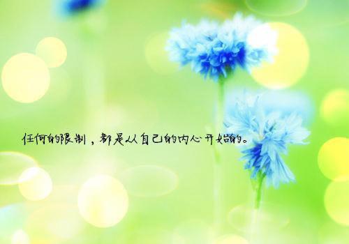 江语林喜王富小说目录 江语林喜王富完整免费版阅读