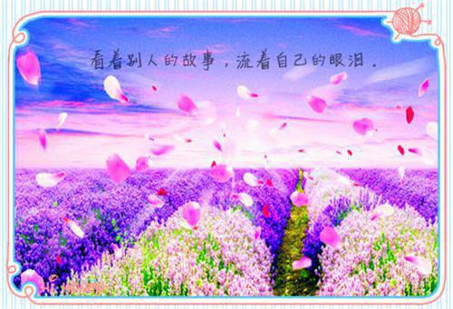 林澈李婉香全文免费大结局 林澈李婉香小说在线阅读