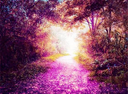 方云顾泊川沈绵绵结局是什么 方云顾泊川沈绵绵免费阅读全文