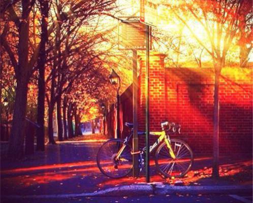 傻瓜与阴蛇盛宁沈无越小说最新章节(在线阅读)