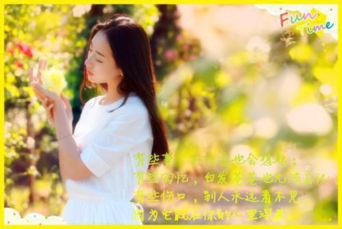 宁鸢的小说宁鸢陆晋南小说全文免费阅读宁鸢陆晋南完结版阅读