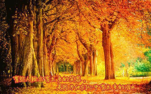 《徐清研陆宴淮小说》无弹窗全文免费阅读