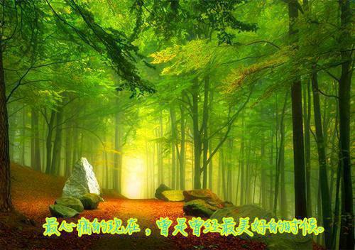 潘初宜谢亦墨小说免费 潘初宜谢亦墨第2章在线阅读