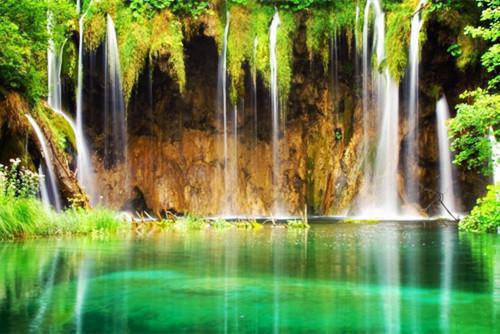 主角张岚秦苒小说免费阅读最新章节