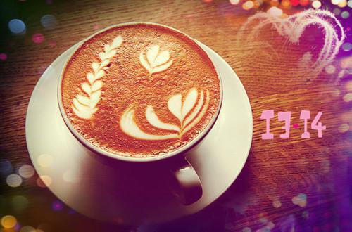 秦念林旭小说全文 秦念林旭小说免费阅读大结局