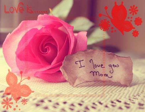 王琪刘梓旭刘鑫鑫章节目录 石女室友假孕争宠小说免费阅读无弹窗