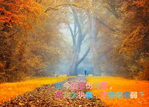 秦远志全文阅读 秦远志小说最新章节