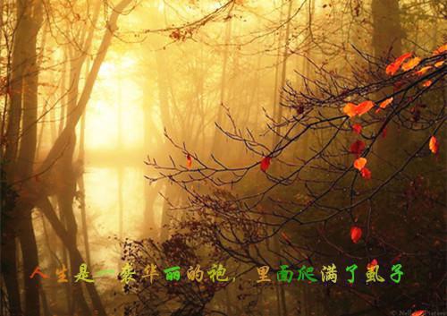 主角名是顾关城顾泉全文免费阅读正版