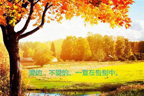 颜菀傅琛霁全文最新章节正版小说免费阅读