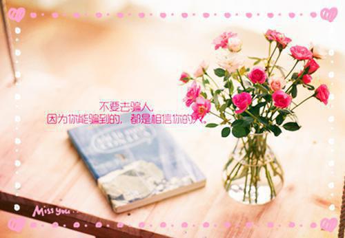 苏辛缘沈林晖全文最新章节正版小说免费阅读