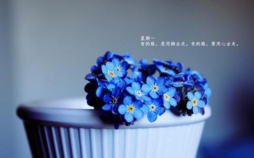 周倩倩李晓莹小说 周倩倩李晓莹全文免费阅读