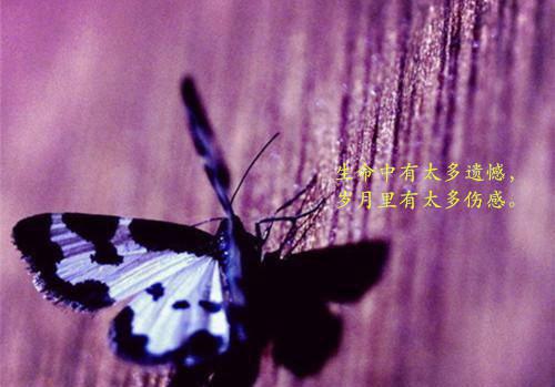 山村怪谈囡囡刘二全文免费阅读(已完结)