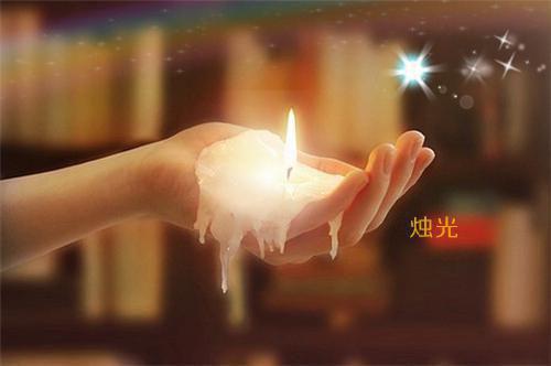 热恋玫瑰(曲柔周叙野刘希然)无弹窗阅读