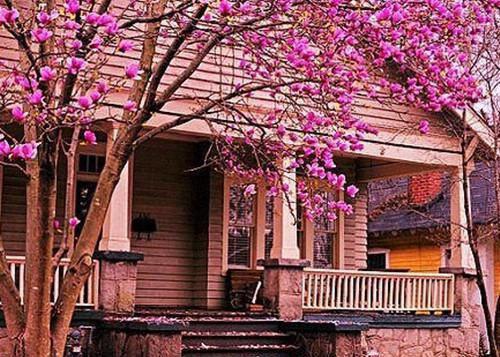 胡言小说全文 胡言小说免费阅读大结局