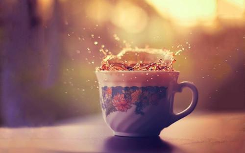 舒语徐景言全文免费阅读小说(舒语徐景言)全文免费阅读无弹窗大结局_(舒语徐景言小说舒语徐景言)舒语徐景言全文免费阅读小说免费阅读无弹窗最新章节列表(舒语徐景言)