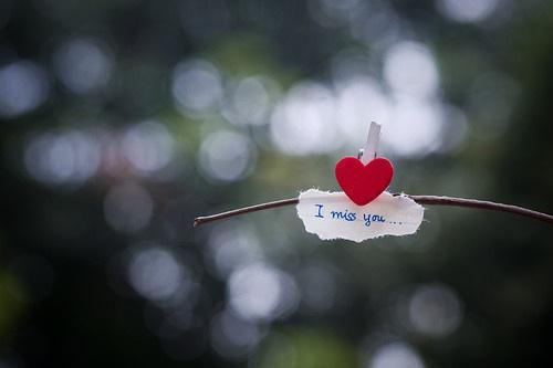 沈清颜岑景然全文免费阅读最新 沈清颜岑景然第11章