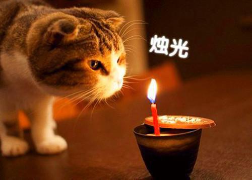 许欢颜尤言已完结小说全集阅读(许欢颜尤言完整版大结局)许欢颜尤言小说全文阅读