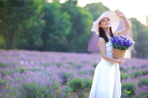 裴清清赵沂宋虞免费全本小说 裴清清赵沂宋虞章节目录