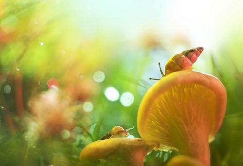 李桦傅晋深乔童王柠月全文免费 李桦傅晋深乔童王柠月在线阅读