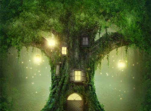 司晚陆靳南小说 司晚陆靳南免费章节阅读