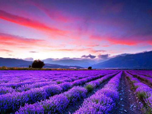 顾芜顾双双周然是什么小说 顾芜顾双双周然全本免费阅读