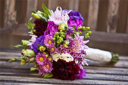 萧妤妍傅白韫完整版 萧妤妍傅白韫小说全文在线阅读