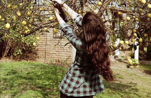 苏钰棠季泽彦最后结局 苏钰棠季泽彦完结版免费阅读