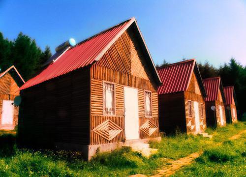 宁雪林琛柳青青哪里可以看 宁雪林琛柳青青免费阅读