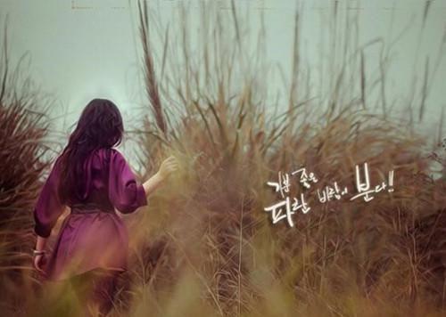 不再相见APP内免费阅读完整版(阿苒陆沉柳音音小说全集)