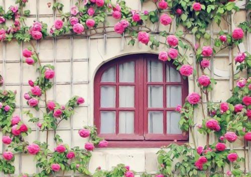 (最新)莫小念扶苍小说完整版免费阅读