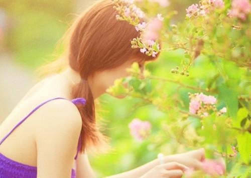 知命不忧小说全集 (叶新柔沈和安)无弹窗广告阅读