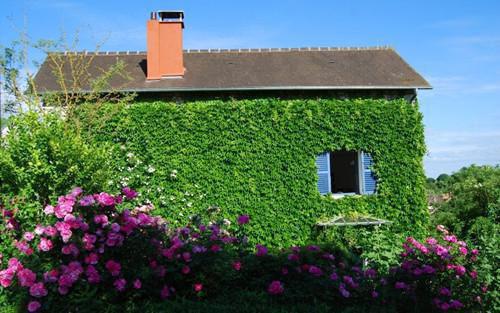 陈筠元凌苒全文+后续（陈筠元凌苒）全文免费阅读无弹窗大结局_（陈筠元凌苒全文+后续）陈筠元凌苒免费阅读无弹窗最新章节列表（陈筠元凌苒全文+后续）