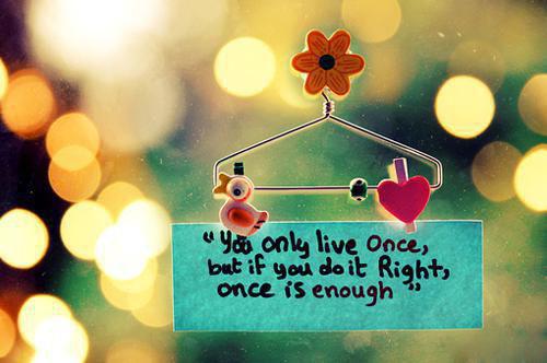 齐芸纪宇黎星小说目录 齐芸纪宇黎星完整免费版阅读