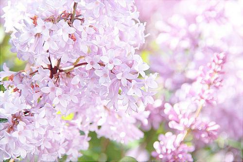 文景娴萧俊轩免费阅读目录 文景娴萧俊轩小说全文