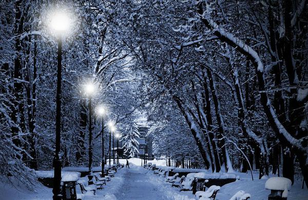 叶琛温子俞顾青章节目录 跟他主动划界限后，他却跪在我面前求我爱他小说免费阅读无弹窗