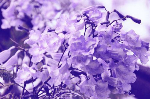 程皎皎兰英小说 程皎皎兰英完整版免费阅读