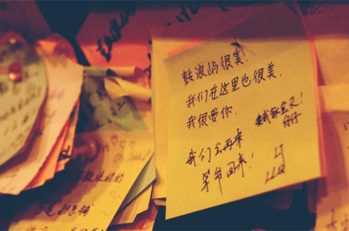 陆妍林盛林浩小说免费试读 陆妍林盛林浩