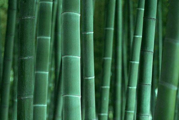 周安王曼欣周辞哪里可以看 周安王曼欣周辞免费阅读第2章