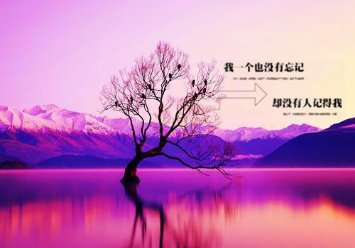 荣舒舒季淼免费章节最新 灵魂互换by岁安