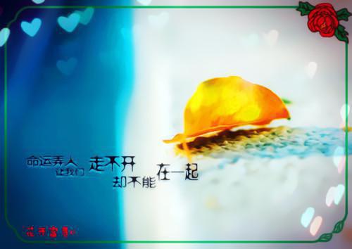 苏阳周凌风大结局全文在线阅读 师尊给的太多，弟子个个是狠人精彩章节