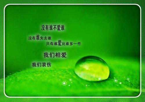 陈辛树秦锐孙倩免费小说 陈辛树秦锐孙倩完结版在线阅读