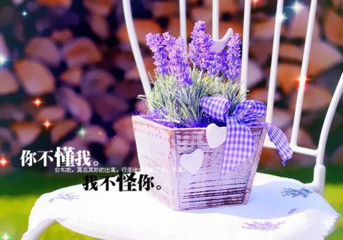 (最新)柳诗涵柳青青小说完整版免费阅读