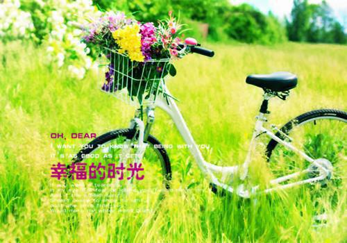 许怀夏盛聿小说免费 许怀夏盛聿第三章在线阅读