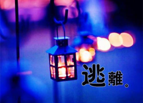 妻子将我的救命钱送白月光何然季晨凌陈清小说最新章节(在线阅读)